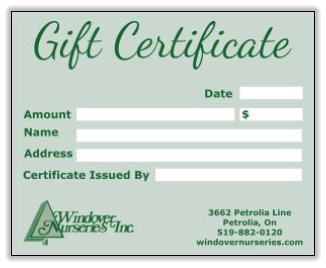 Gift Certificates Available